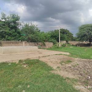 janavaranna_pani_pinyakarita_hauda_original