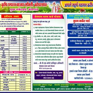 WhatsApp_Image_2025-11-13_at_5.42.38_PM_original